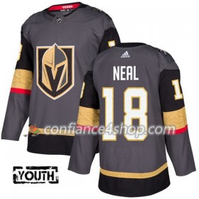 Adidas Maillot de Hockey Vegas Golden Knights James Neal 18 2017-2018 Gris Authentic - Enfant